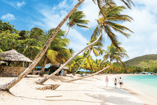 Tropical beach with palm trees